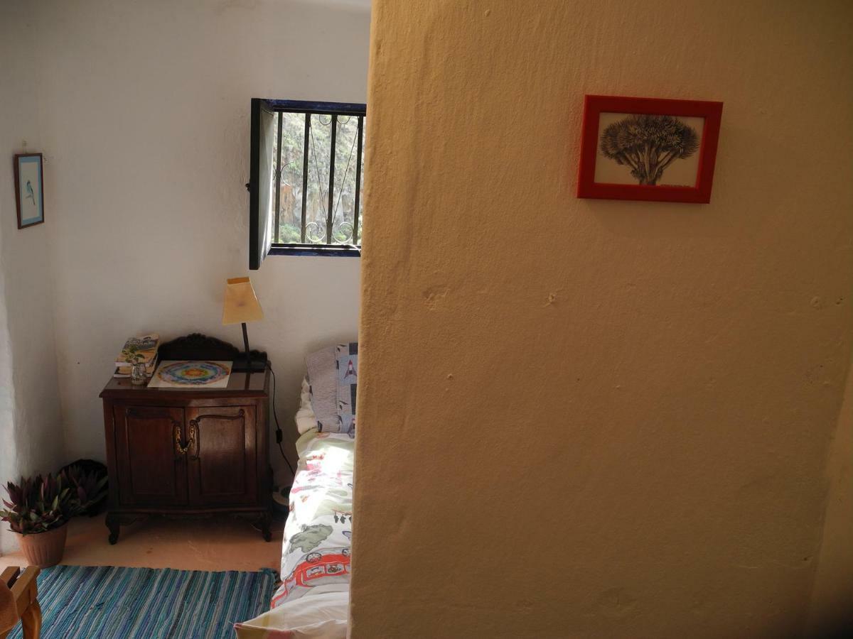 Camino Art House Apartment Вега де Сан Матео Екстериор снимка